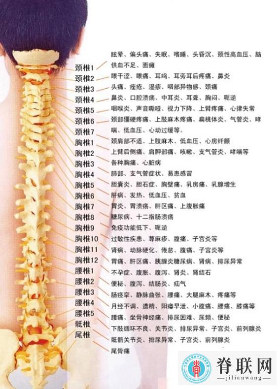图片2-1.jpg